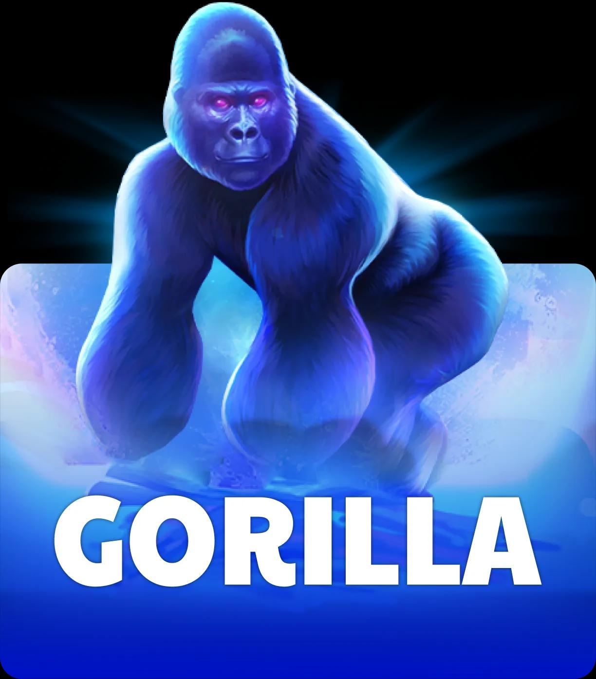 Gorilla