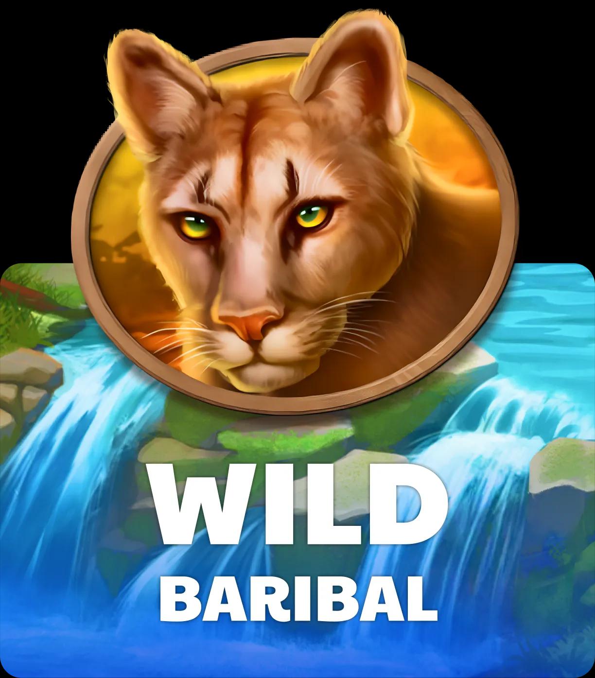 Wild Baribal